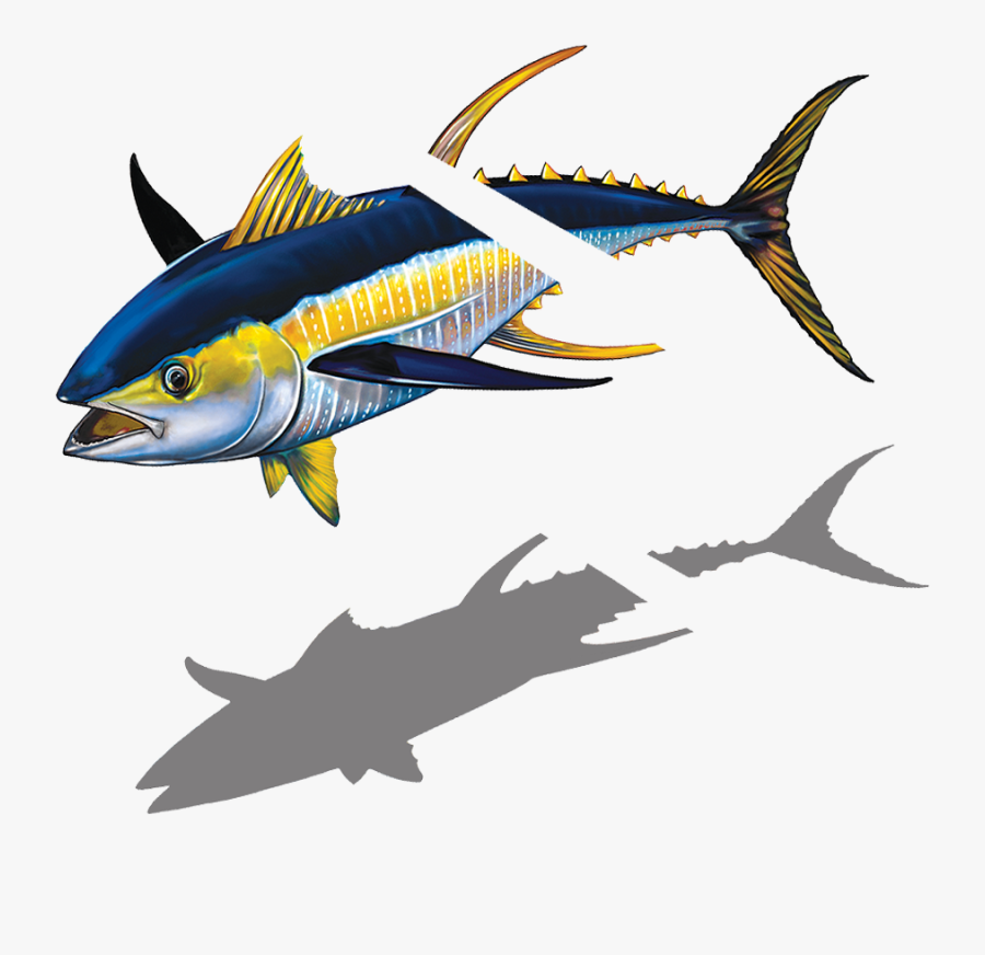 Porc Tn43r Sh Tuna With Split Copy - Billfish, Transparent Clipart