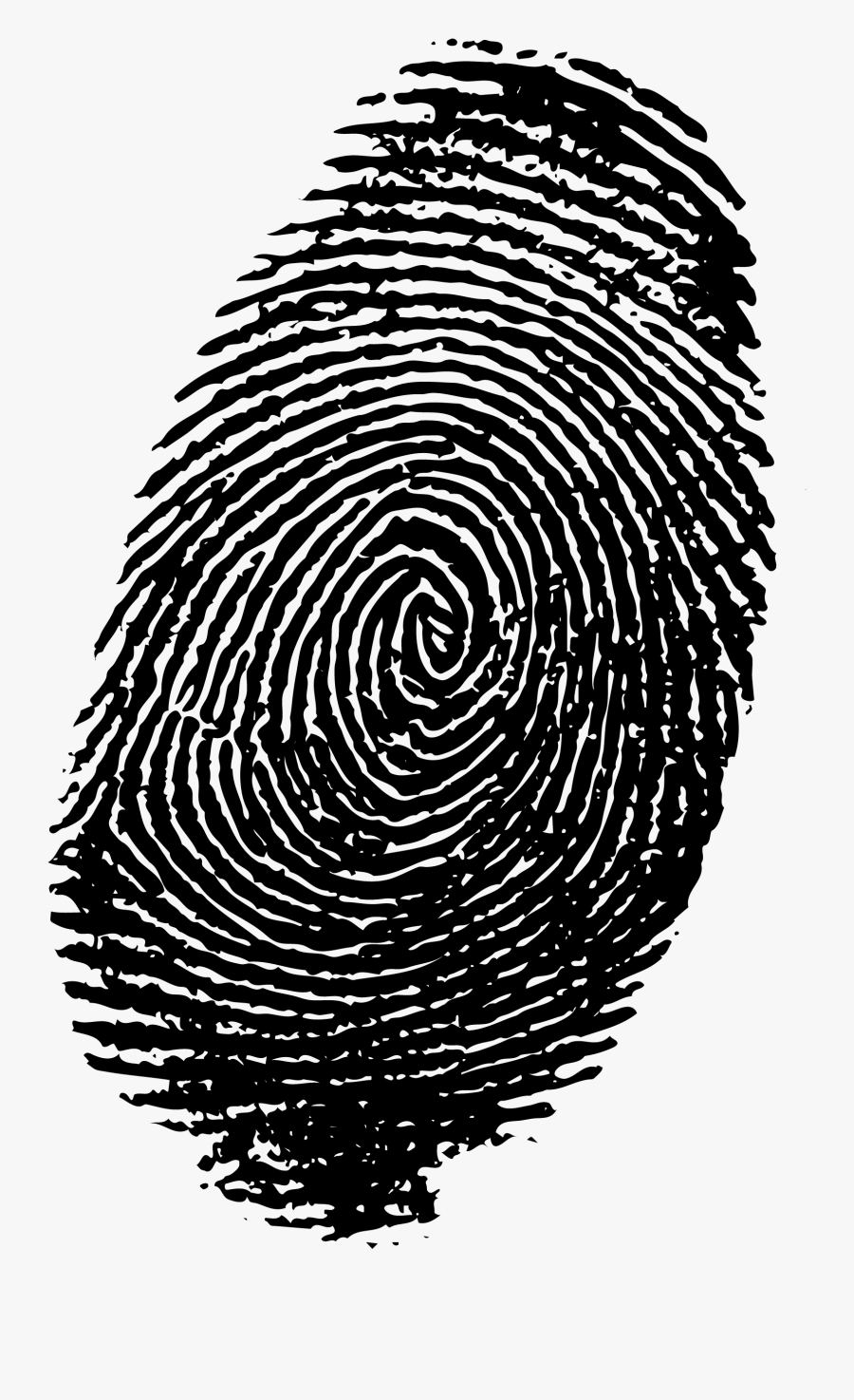 Finger Print Png - Transparent Background Fingerprint Logo, Transparent Clipart