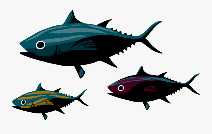 Re Del Mediterraneo - Atlantic Bluefin Tuna, Transparent Clipart