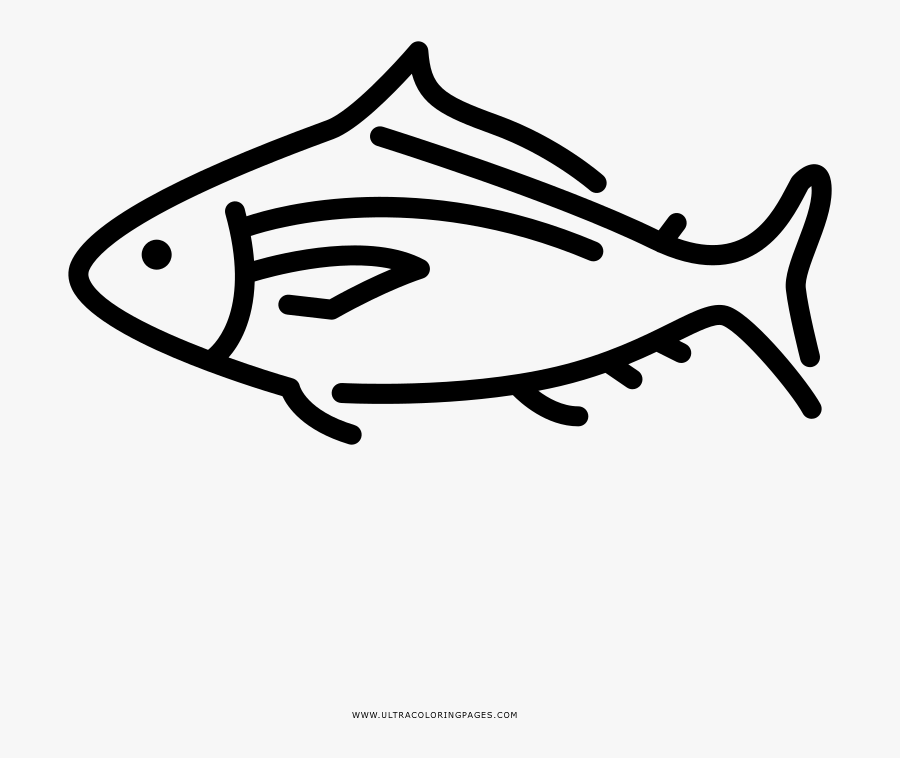 Tuna Coloring Page - Tuna, Transparent Clipart