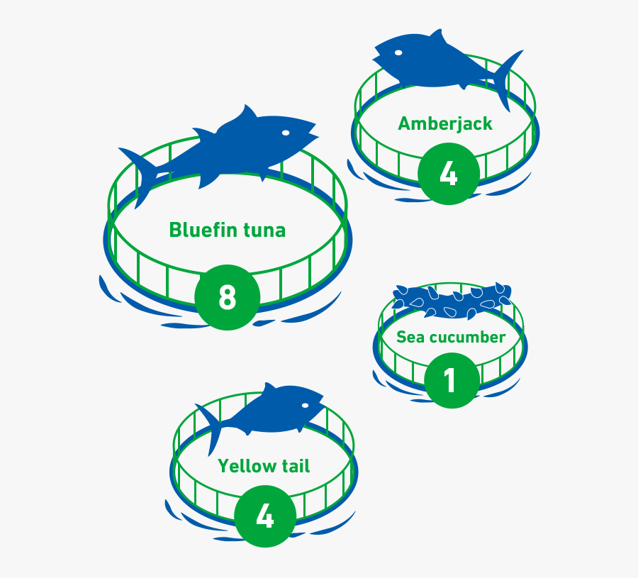Fish Farms - Circle, Transparent Clipart