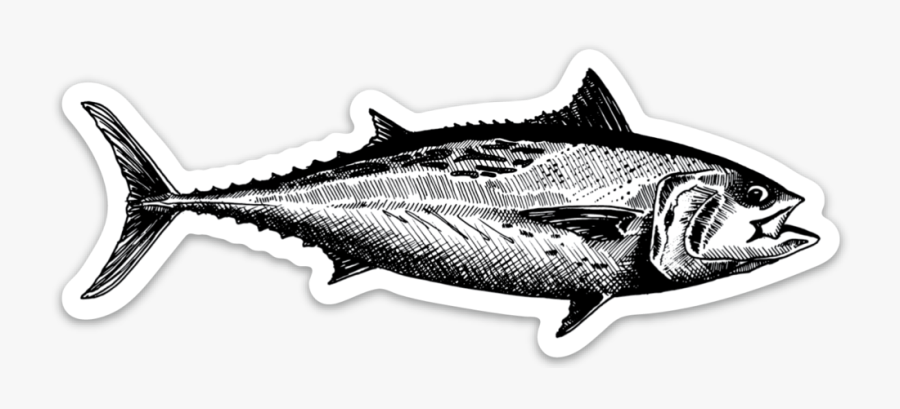 5, Transparent Clipart