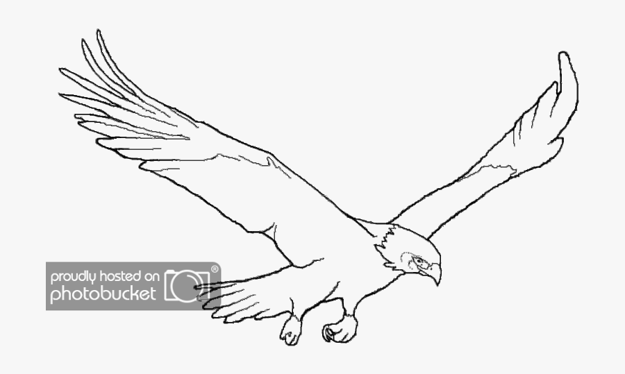 Drawing Eagles Simple - Osprey, Transparent Clipart