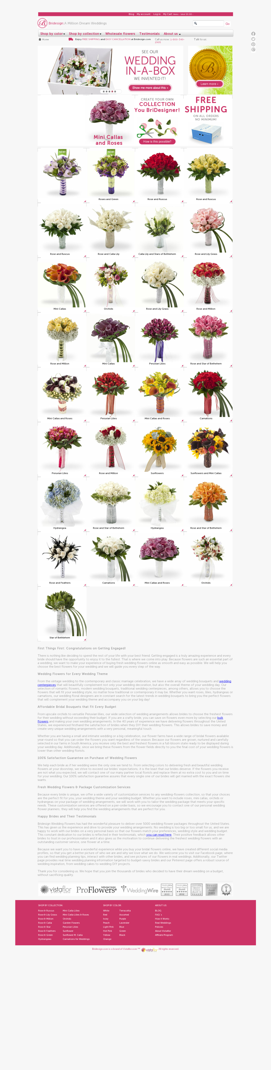 Chrysanths, Transparent Clipart