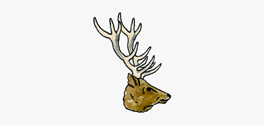 Deer, Transparent Clipart
