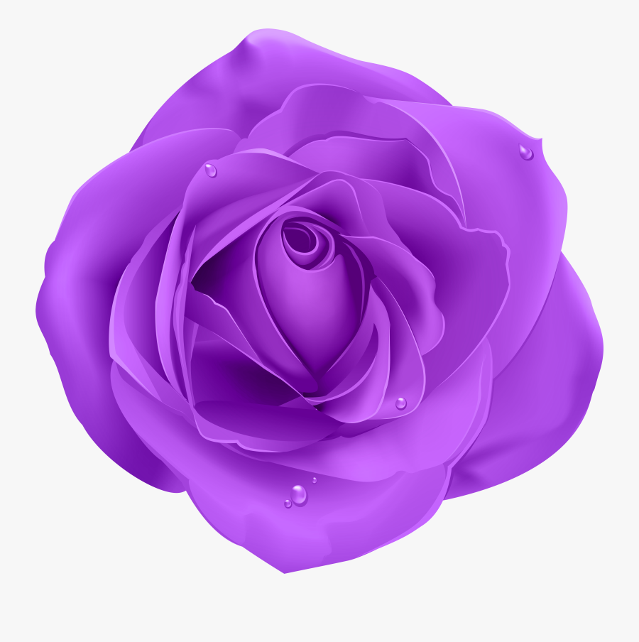 Purple Rose Clip Art, Transparent Clipart