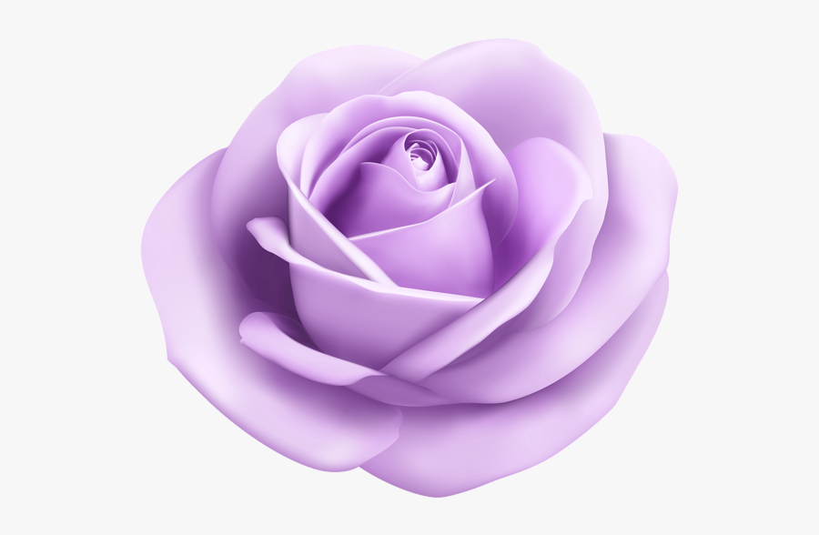 Purple Rose Png - Light Blue Flower Png, Transparent Clipart
