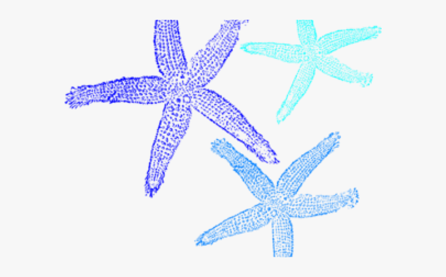 Transparent Starfish Clipart Outline - Fish Clip Art, Transparent Clipart