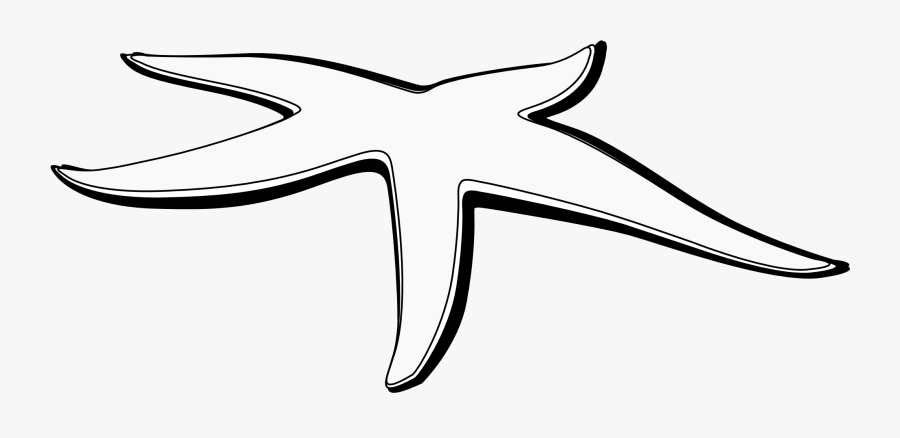 Starfish Black And White Clipart - Line Art, Transparent Clipart