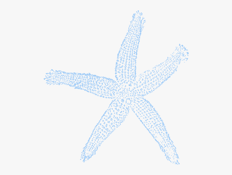 Teal Starfish Clipart, Transparent Clipart