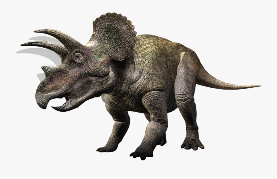 Clip Art Pictures Of Triceratops Dinosaurs - History Channel After 12 Meme, Transparent Clipart