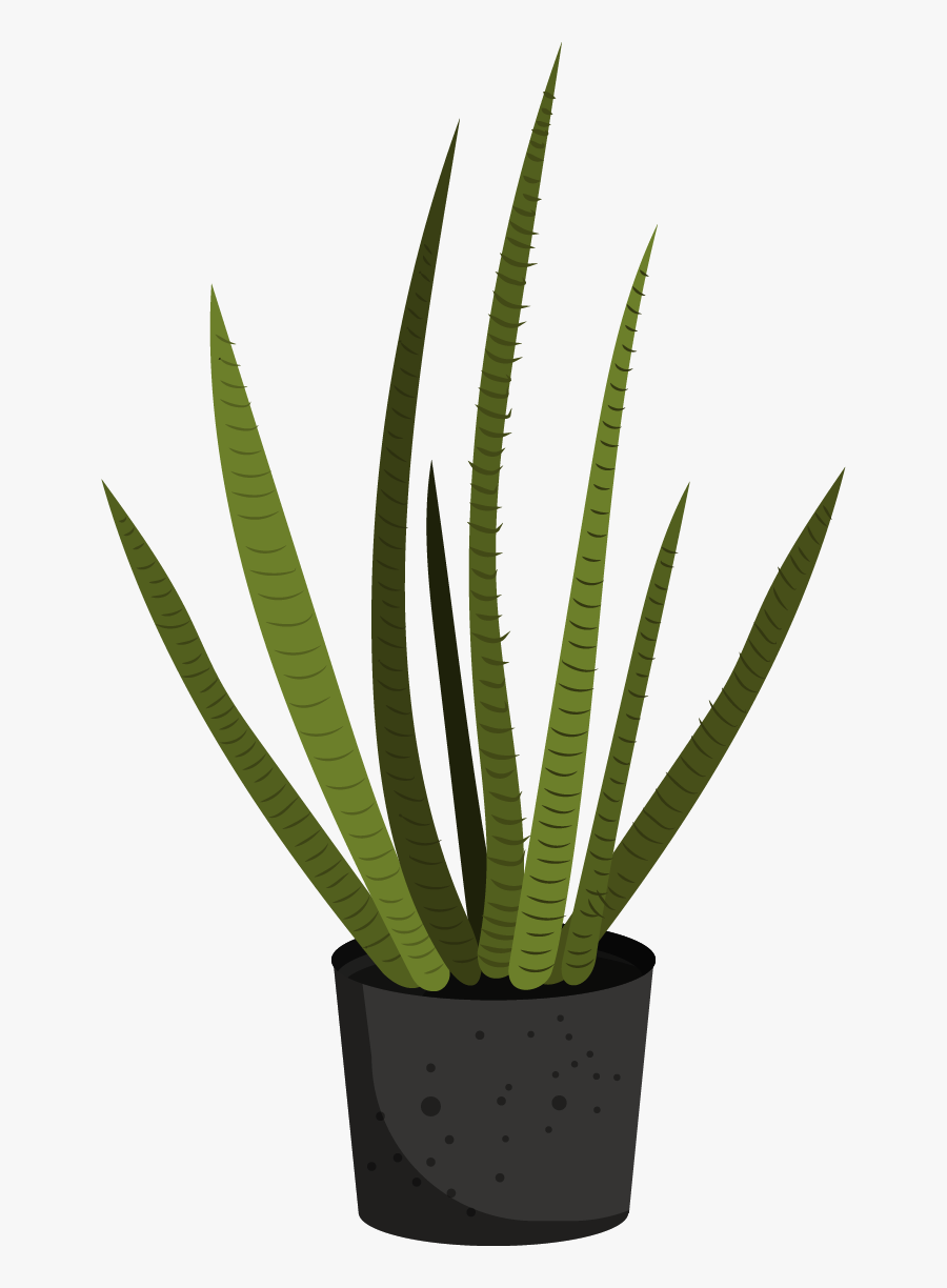 Flowerpot, Transparent Clipart