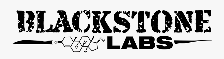 Black Stone Labs Logo Png, Transparent Clipart