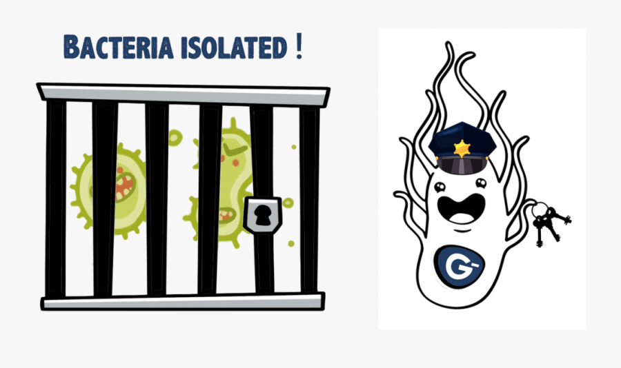 Bacteria-isolated - Cartoon, Transparent Clipart