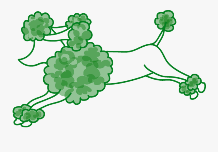 Picture, Transparent Clipart