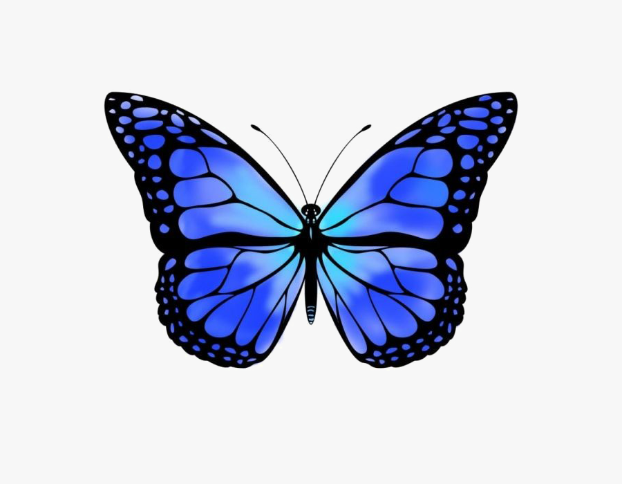Transparent Blue Butterfly Png - Monarch Butterfly Clipart, Transparent Clipart