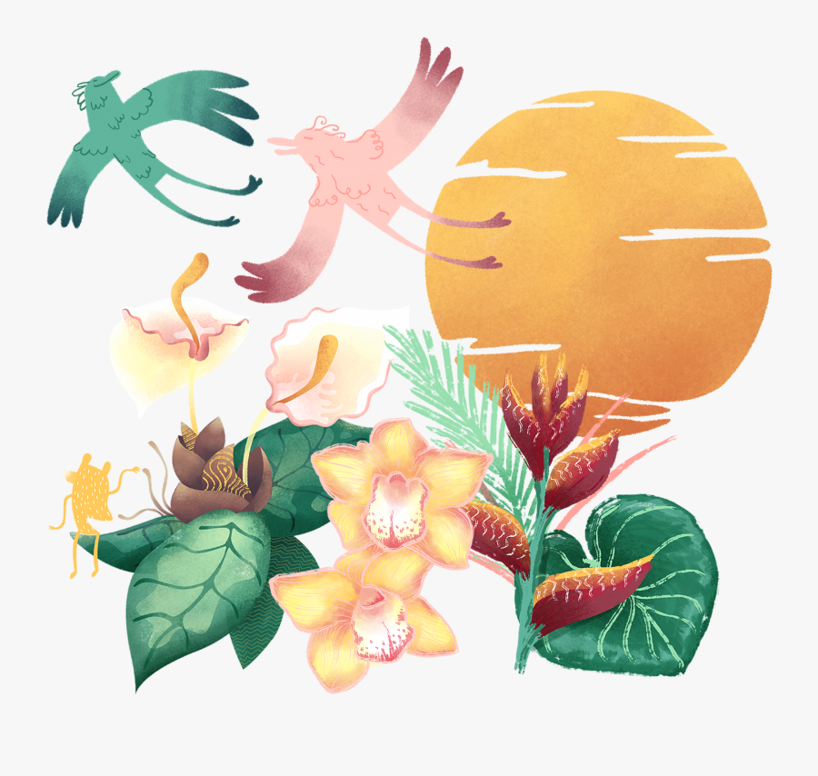 Bird, Transparent Clipart