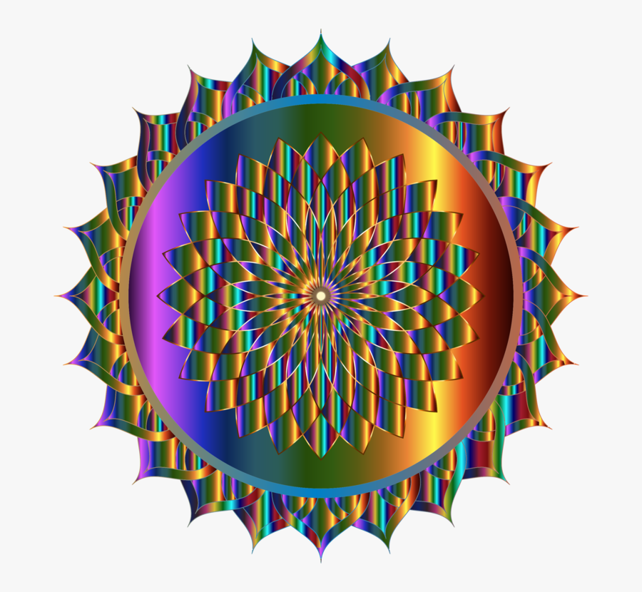 Flower,leaf,symmetry - Cs Hg200 7, Transparent Clipart