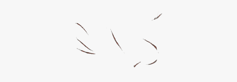 Drawing, Transparent Clipart