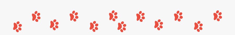 Circle, Transparent Clipart