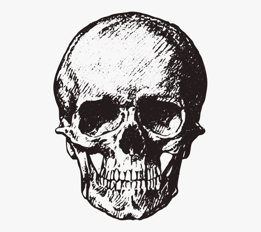 Skull Art Png Vector, Clipart, Psd - Halsey Skull, Transparent Clipart