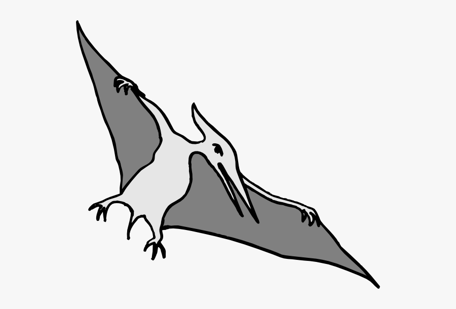 Simple Pterodactyl Art Clip Art At Clker Com Vector - Illustration, Transparent Clipart