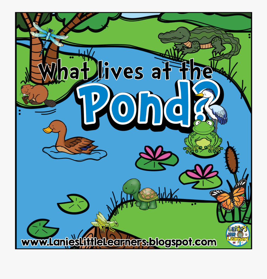 Lives In A Pond, Transparent Clipart