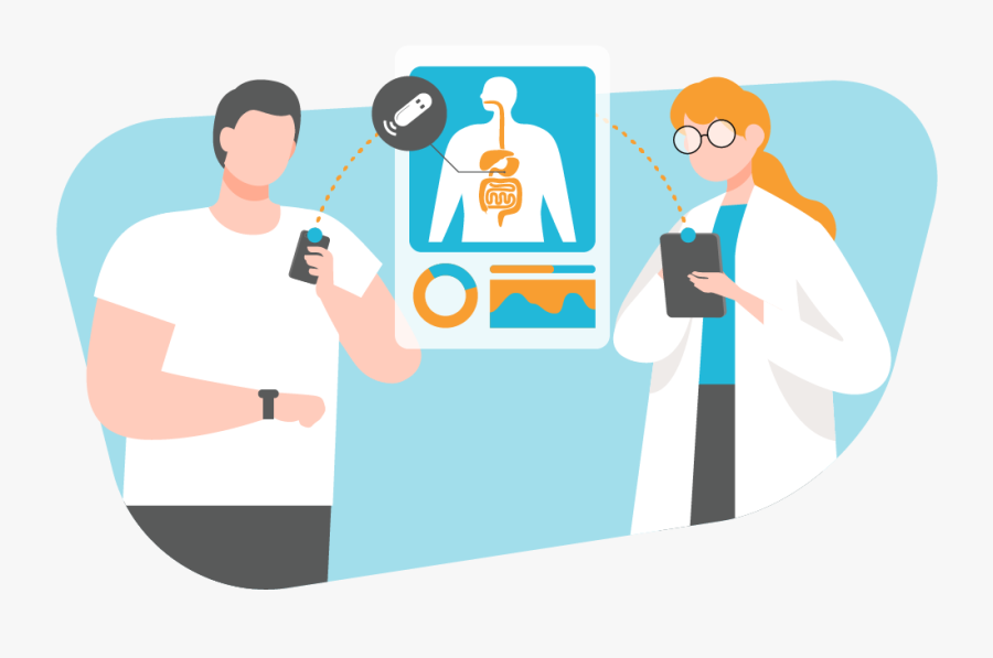 Artboard 1 - Illustration, Transparent Clipart