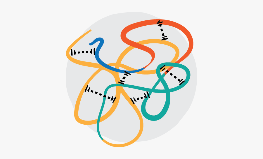 022819 Hs Protein T Krehbiel, Transparent Clipart