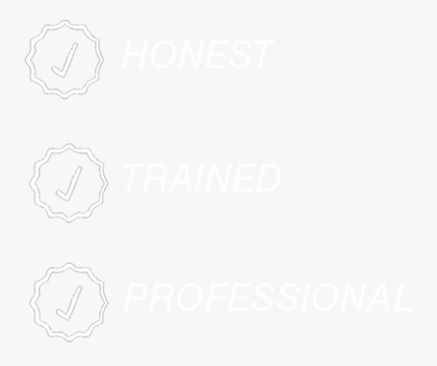 Sketch, Transparent Clipart