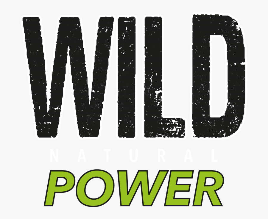 Calligraphy, Transparent Clipart