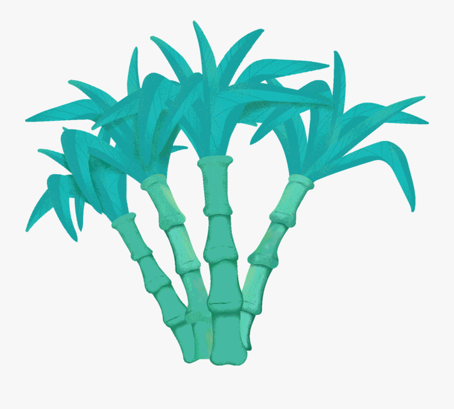 Palm Tree, Transparent Clipart