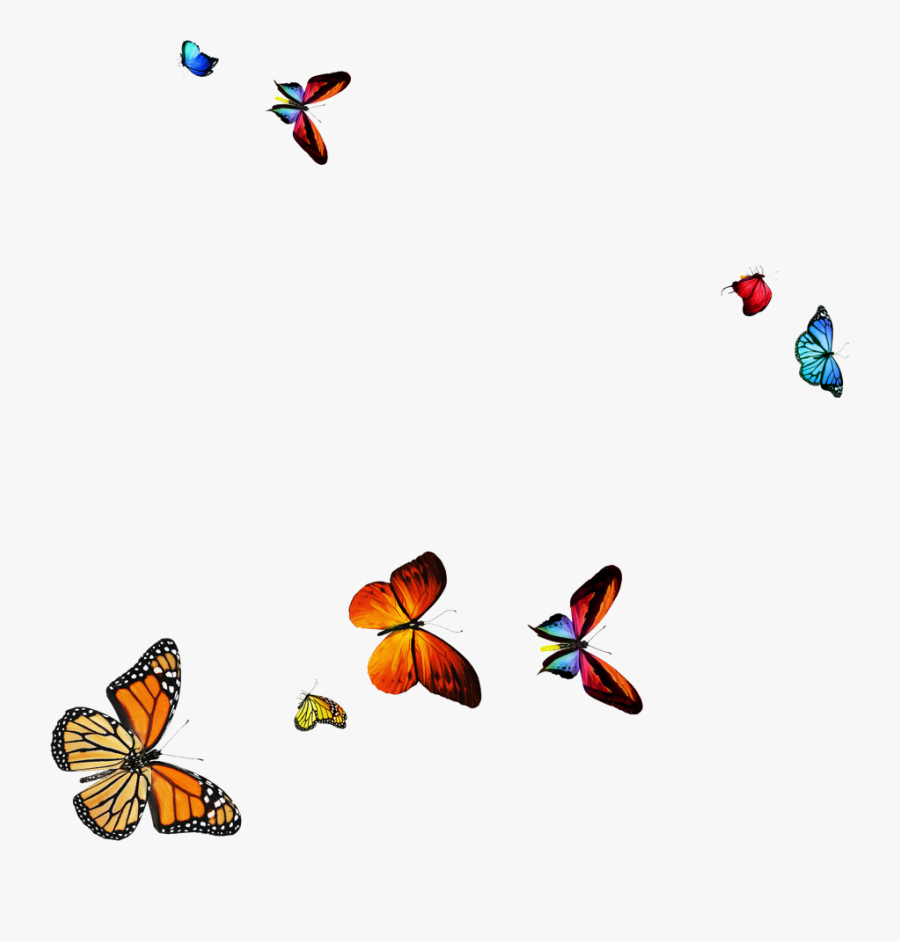 Stock Photography, Transparent Clipart