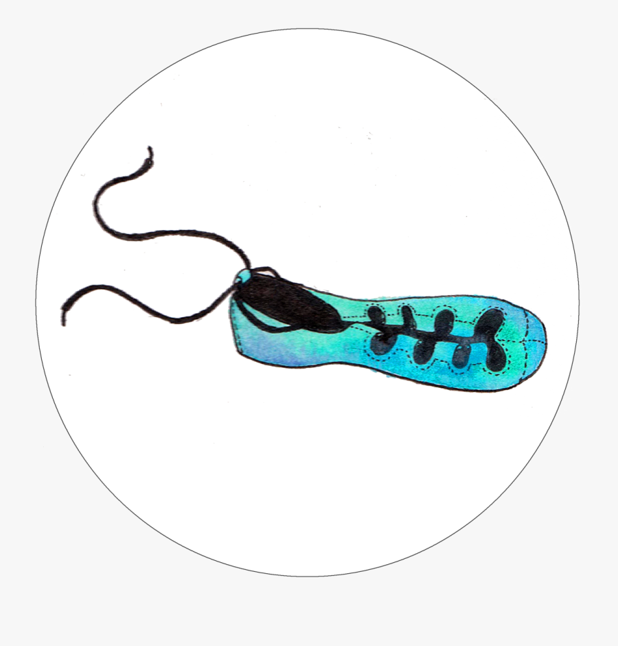 Irish Dance Art Watercolor Dance Shamrocks Sketchpad - Illustration, Transparent Clipart