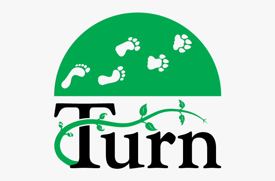 Graphic Design, Transparent Clipart