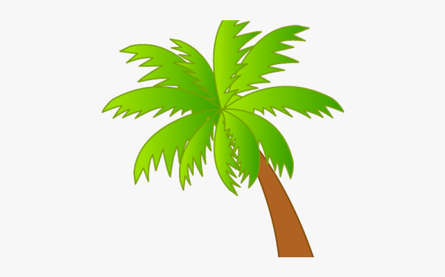 Palm Tree Clipart Translucent - Palm Tree Hawaii Clip Art, Transparent Clipart