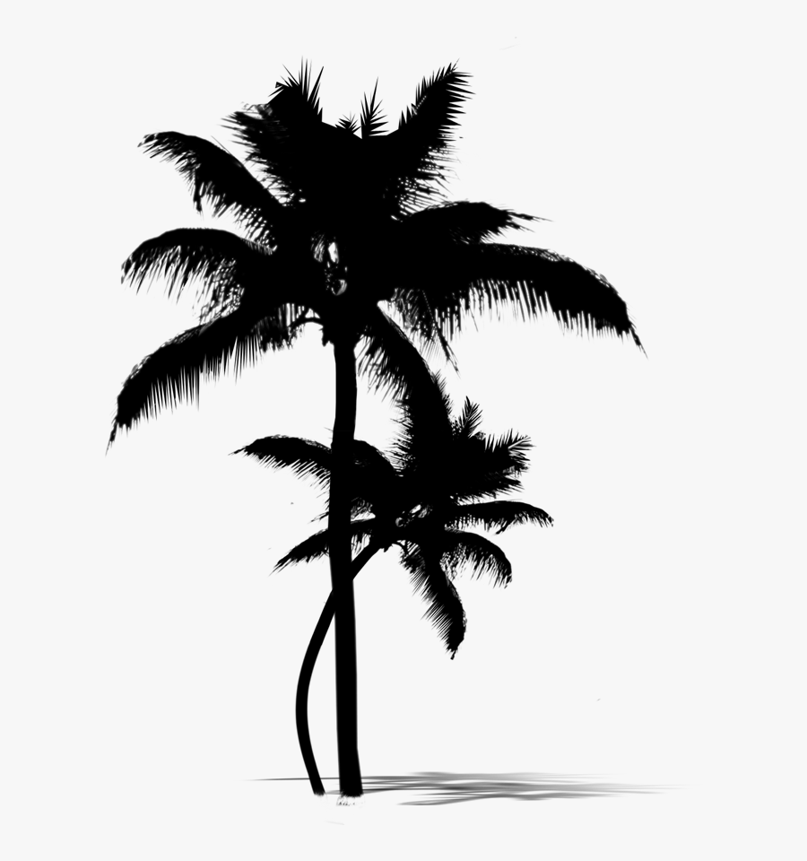 Asian Palmyra Palm Date Palm Leaf Palm Trees Silhouette - Palawan Palm Trees Silhouette, Transparent Clipart