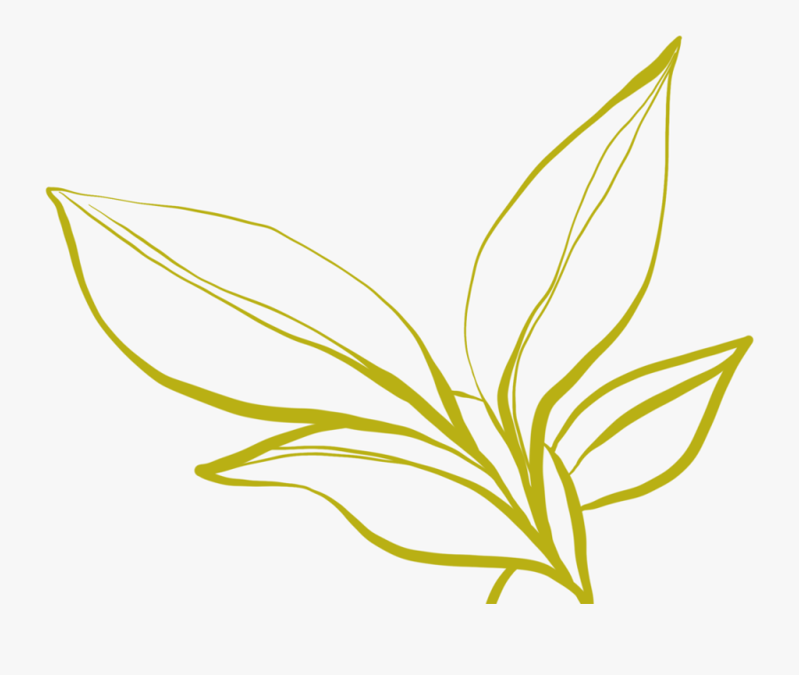 Leaf Main Flip Green, Transparent Clipart