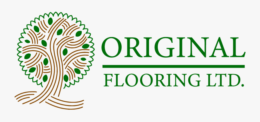 Timber Flooring West Auckland - Highland Hospital Rochester Logo, Transparent Clipart