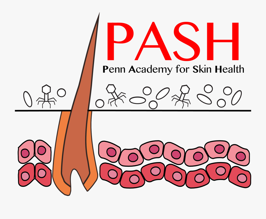 Penn Academy For Skin Health - Passport To Manhood Logo, Transparent Clipart