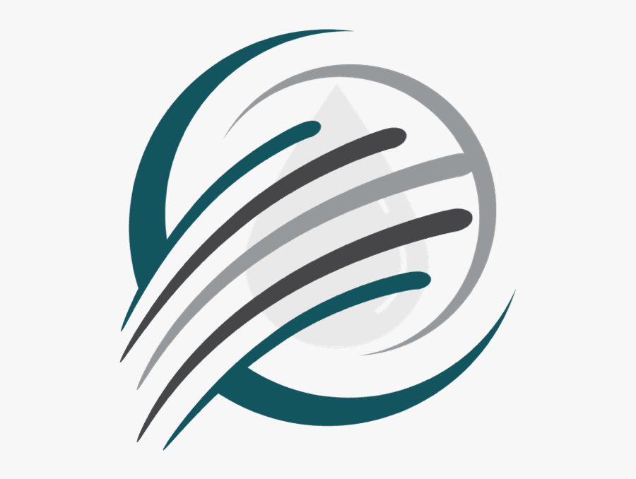 Circle, Transparent Clipart