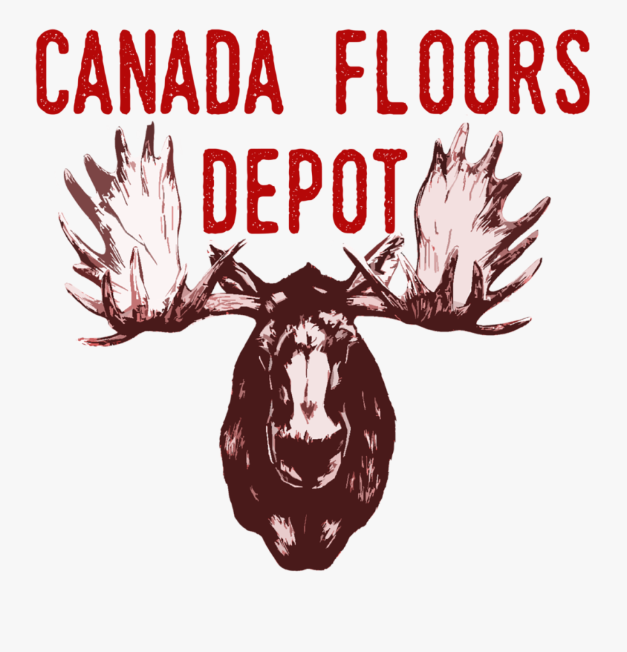 Moose Face Pencil Drawing, Transparent Clipart