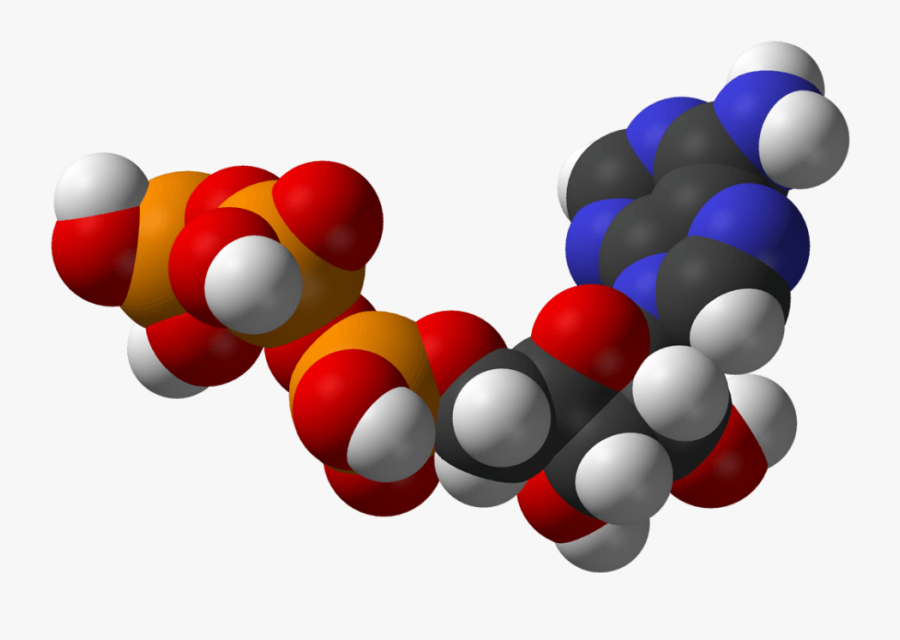 However, Whatever Happens In The Isolated Organelle - Molecula De Un Ser Vivo, Transparent Clipart