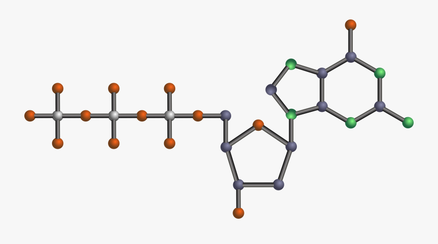Transparent Molecule Png - Atp Molecule, Transparent Clipart