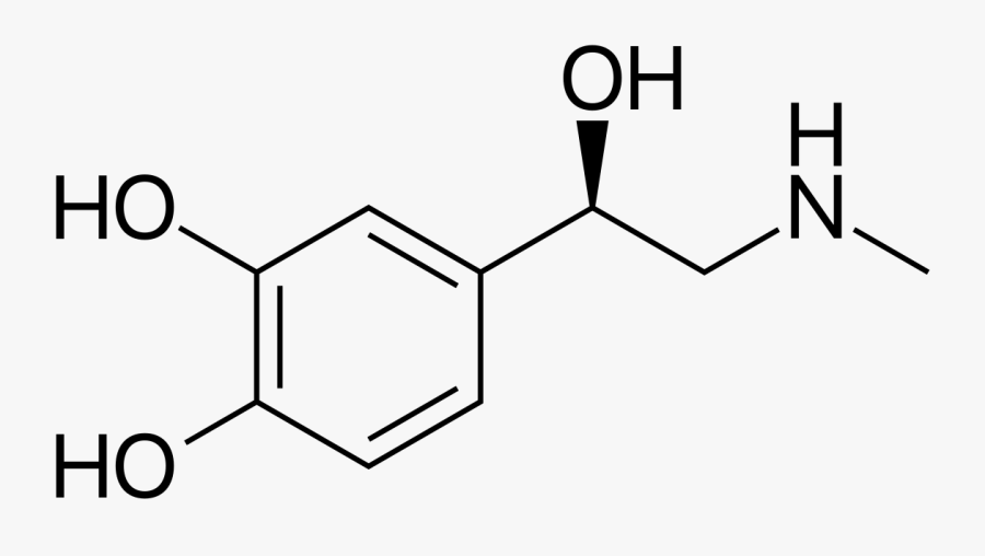 Clip Art Wikipedia - Epinephrine Structure, Transparent Clipart