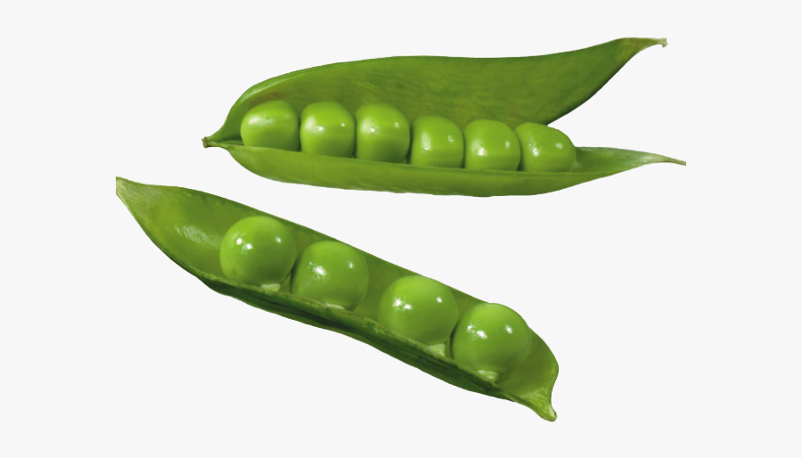 Peas Clipart, Transparent Clipart