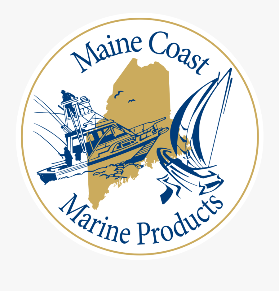 Circle, Transparent Clipart