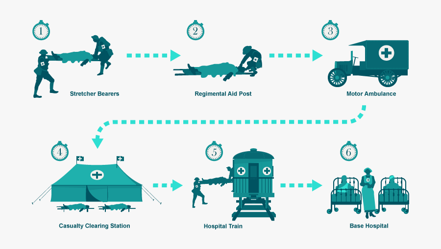 Medical Treatment - Chain Of Evacuation Ww1, Transparent Clipart