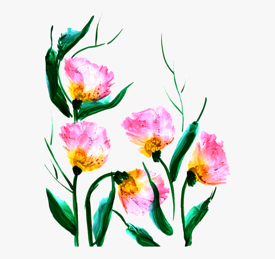 Tulip, Transparent Clipart