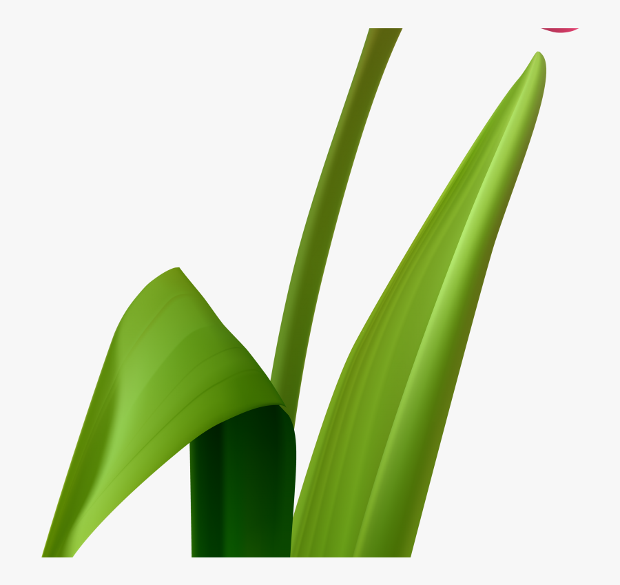 Grass Clipart , Png Download - Grass, Transparent Clipart
